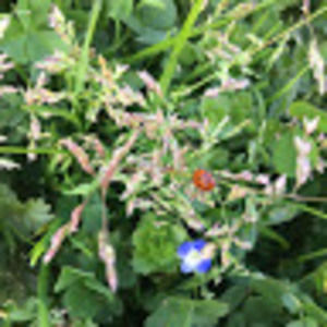 Meet your Posher, Patricia